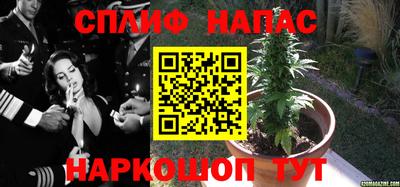 мдпв Краснодар
