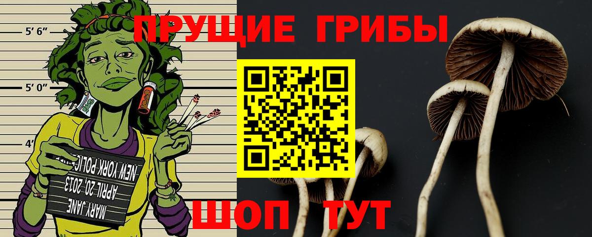Галлюциногенные грибы MAGIC MUSHROOMS Соль-Илецк