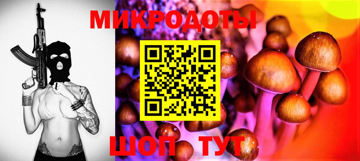 сколько стоит  Псилоцибиновые грибы прущие грибы  Вход с VPN  Соль-Илецк 